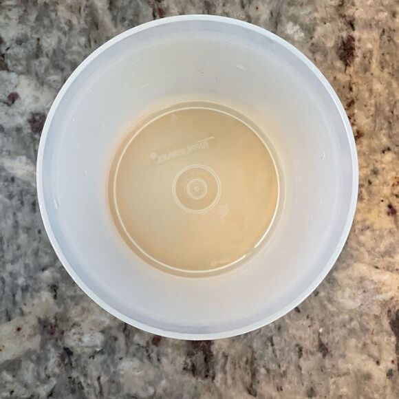 Tupperware Vintage Storage 250-46 with Lid 215-50 Container - Picture 2 of 4